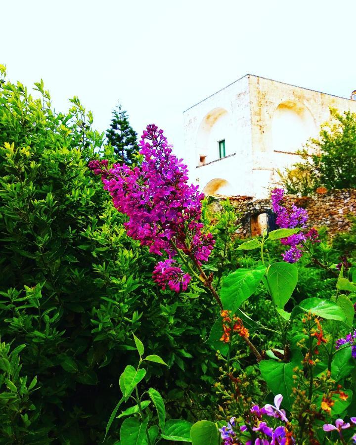 Masseria Delle Rose 1760 Алесано Екстериор снимка
