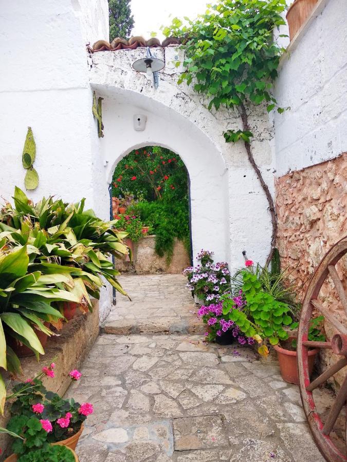 Masseria Delle Rose 1760 Алесано Екстериор снимка