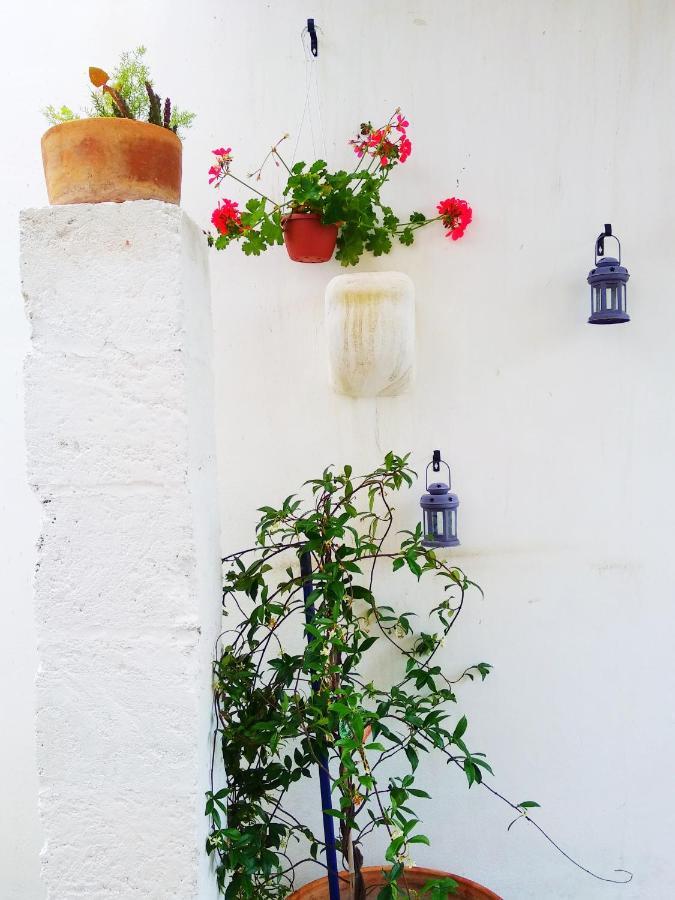 Masseria Delle Rose 1760 Алесано Екстериор снимка